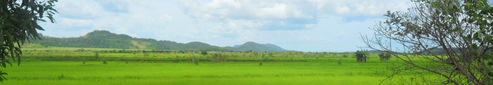 Kinder Afrikas Kinder Afrikas